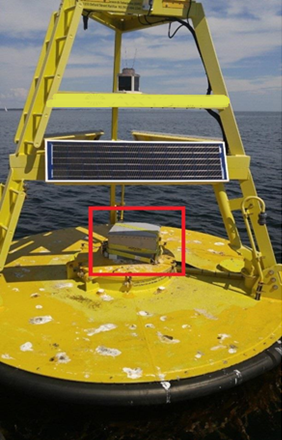 Brizo on yellow buoy