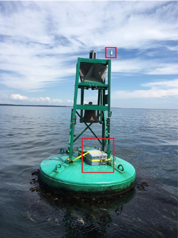 Brizo on green buoy